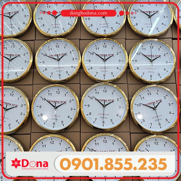 dong-ho-taynama-amc-1